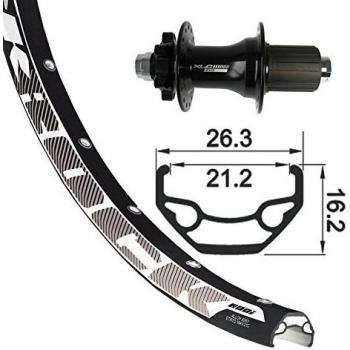 XLC Rueda Trasera 29 6 Agujeros Rodi Black Rock