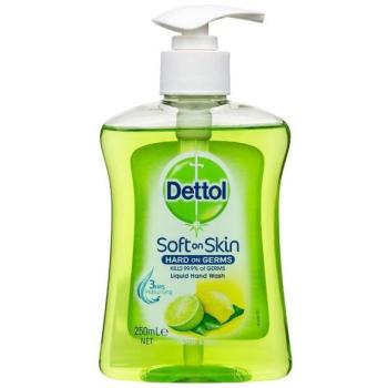Dettol Liquid Handwash Refreshing Lemon Lime 250ml
