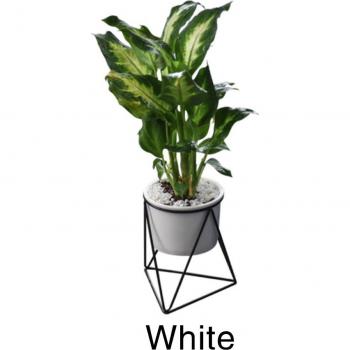 Contenedor decorativo para plantas de interior