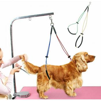 Double Wire Dog Grooming Restraint