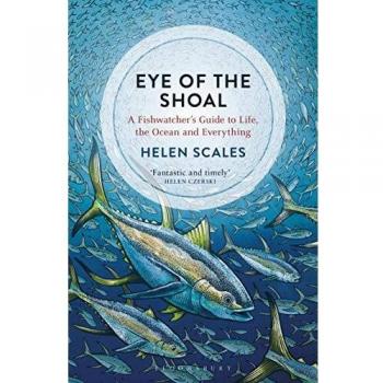 Eye of the Shoal