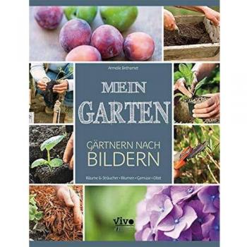 Mein Garten