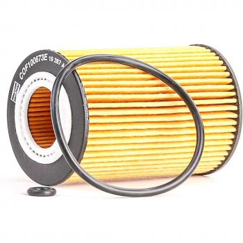 Filtro olio motore Champion COF100673E