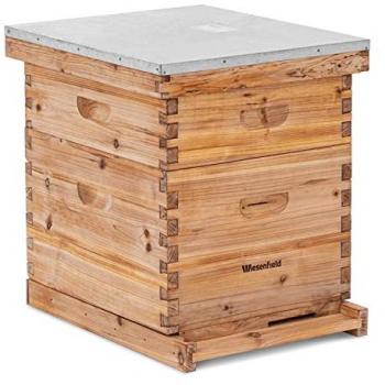 Wiesenfield Dadant Beehive