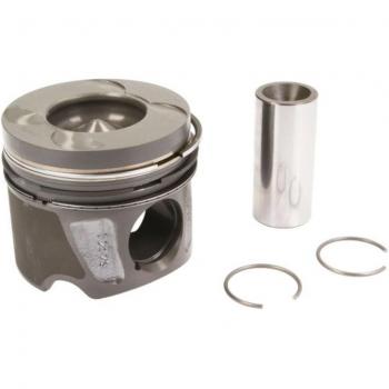 Pistão e Embolo Natural 87 427407 10 – Kit completo para cilindro 4,6