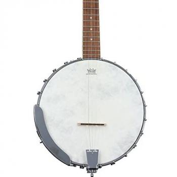 Fender PB-180E Banjo with Gig Bag, Natural