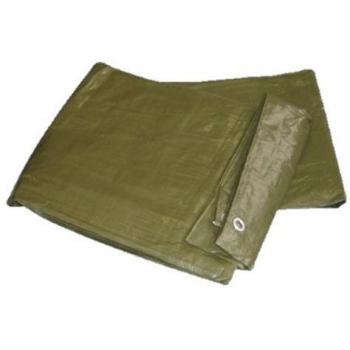 Polietilene Green Shield 8x10 Mt