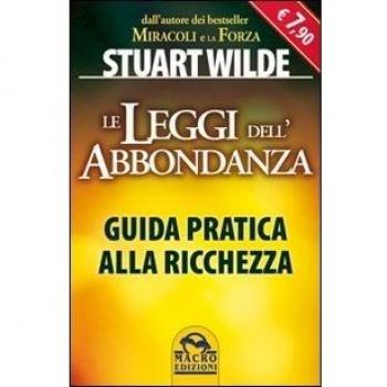 Le leggi dell'abbondanza. Guida pratica alla ricchezza