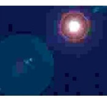 Tinta y papel fotográfico Decadry T104073