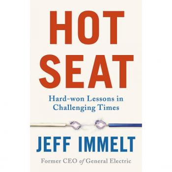 Hot Seat: Hard-won Lessons in Challenging Times