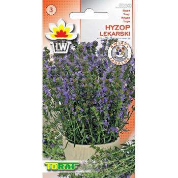 Semi di Hisopo 0,5g per giardino, grandi raccolti