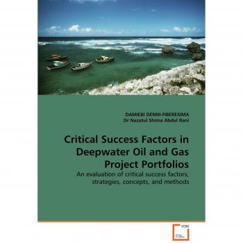 Critical Success Factors in Deepwater Oil and Gas Project Portfolios