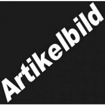 Gabionenwand mit Abdeckung aus verzinktem Stahl 600 x 50 x 200 cm vidaXL