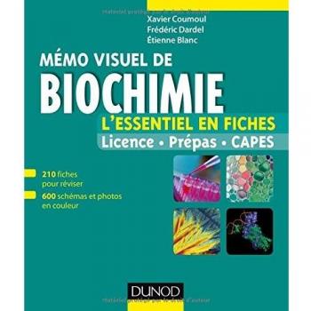 Mémo visuel de biochimie