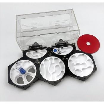 High-Grade Ant Nest with Feeding Area
