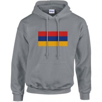 Armenian Flag Gray Sweatshirt with Hoodie – PixelForma