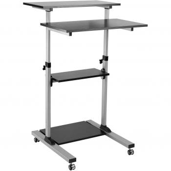 PortaPosture Dual-Position Station