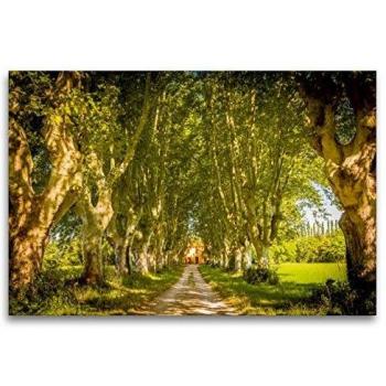Premium Textil-Leinwand CALVENDO 120×80 cm – Provence: Alte Allee zum Landsitz