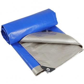 Eco-Friendly Plastisol 300x200cm Vehicle Awning with Waterproofing