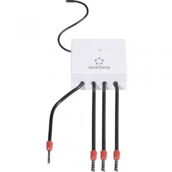 Renkforce RS2W: Mikro‑Funkkontrolle