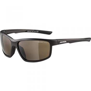 Alpina DEFEY 8645320 Men's Eyewear Grey Size 61