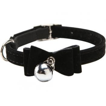 Collier multicolore pour chat