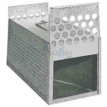 Cámara de Tránsito Galvanizada Palomas