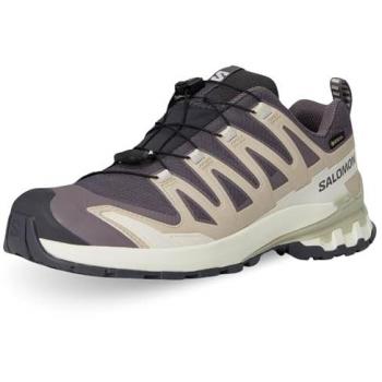 Salomon XA PRO 3D v9 GORE-TEX femme gris foncé beige