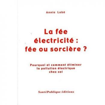 La pollution électrique chez soi