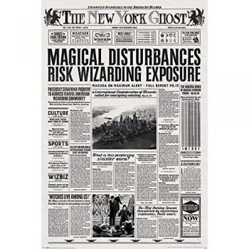 Maxi Poster The New York Ghost