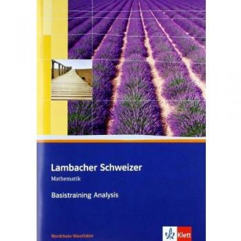 Basistraining Analysis 11. und 12. Schuljahr
