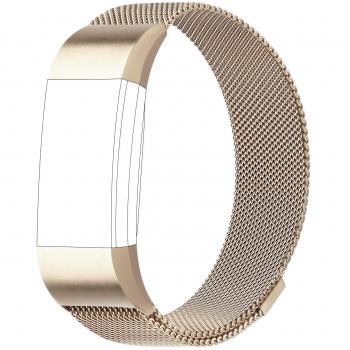 Champagne Color Band Compatible with Fitbit Charge 2