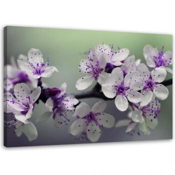 Blooming Plant Canvas