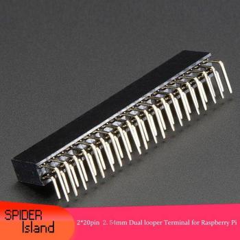 2.54mm Dual Curved Legs Female Terminal Connector for Raspberry Pi