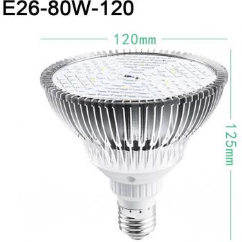 Lumière Intérieure Plante 50 W