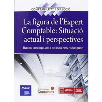 La figura de l'expert comptable. Situació actual i.