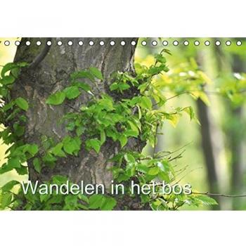 Calvendo Landschaft und Natur: Wandelen in het bos NL