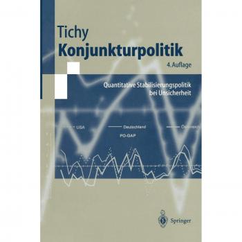 Konjunkturpolitik: Quantitative Stabilisierungspolitik bei Unsicherheit