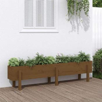 Jardin Haut de Gamme