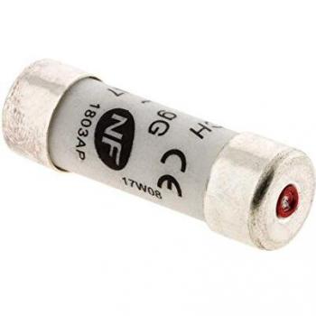 3 Fusibles à Cartouche Céramique 10,3x31,5-25A avec Indicateur NF