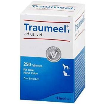 Traumeel VET Tabletten, 250 Stück