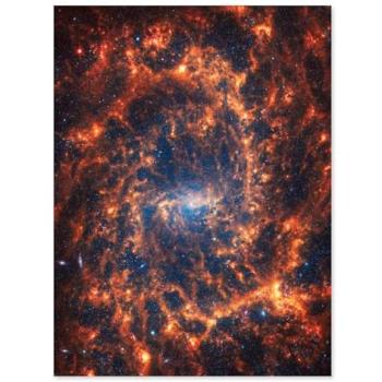 James Webb’s NGC 2835 Spiral – 18x24” Orange Cosmic Canvas