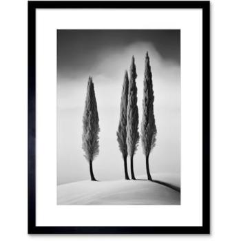 Minimalist Winter Cypress Landscape