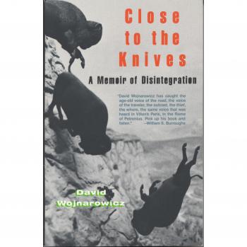 Close to the Knives : A Memoir of Disintegration