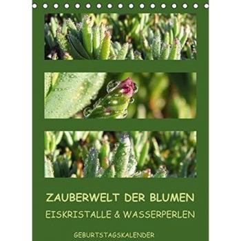 Zauberwelt der Blumen
