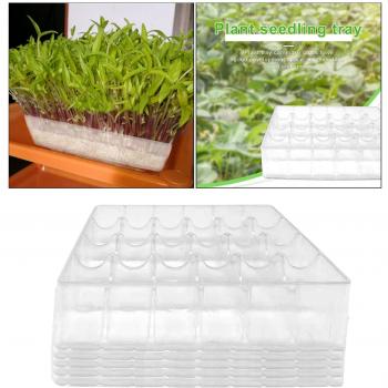 Seedling Starter Tray with Protection