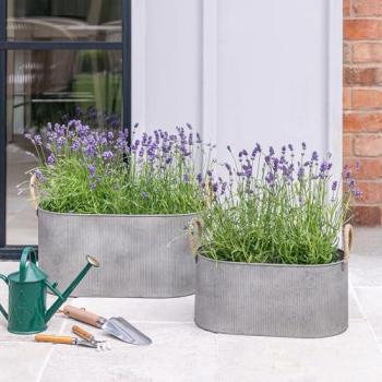 Outdoor Silver Rope-Handle Trough Duo – Galvanized