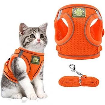 Step-in Comfort Outdoor Harness for Cats and Kittens