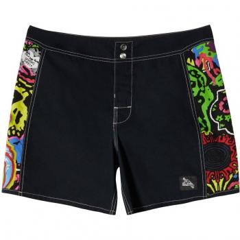 Quiksilver Shorts »Snyc Original Arch 16«