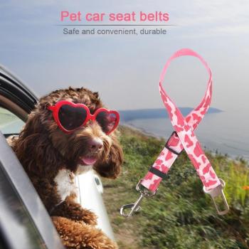 Correa Plomo Asiento de Perro y Gato 70 cm